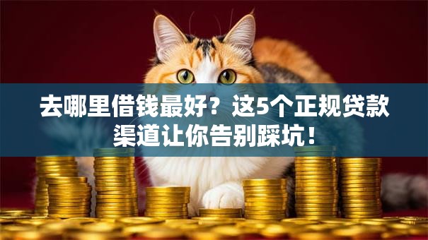 去哪里借钱最好?这5个正规贷款渠道让你告别踩坑! 去哪里借钱最好?这5个正规贷款渠道让你告别踩坑!