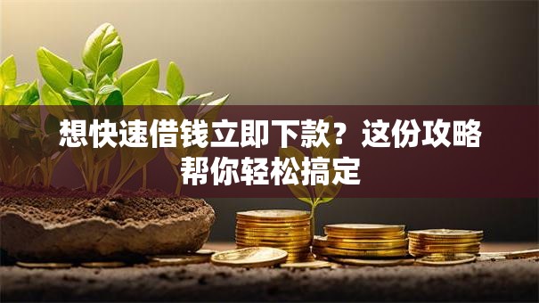 想快速借钱立即下款？这份攻略帮你轻松搞定