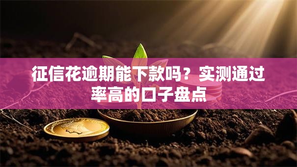 征信花逾期能下款吗？实测通过率高的口子盘点