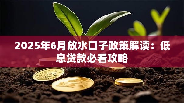 2025年6月放水口子政策解读：低息贷款必看攻略