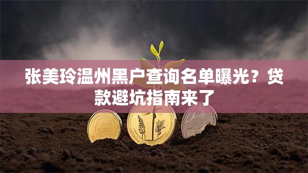 张美玲温州黑户查询名单曝光？贷款避坑指南来了
