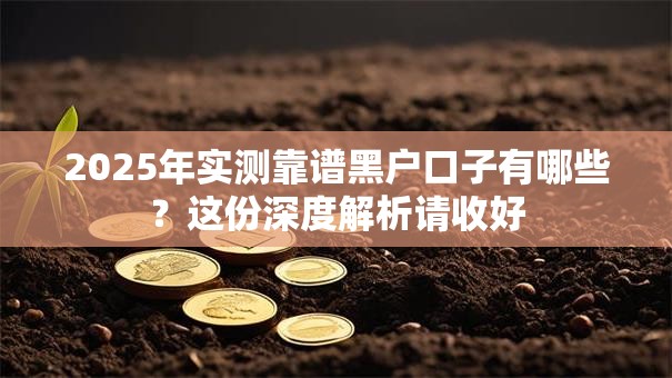 2025年实测靠谱黑户口子有哪些?这份深度解析请收好 2025年实测靠谱黑户口子有哪些?这份深度解析请收好