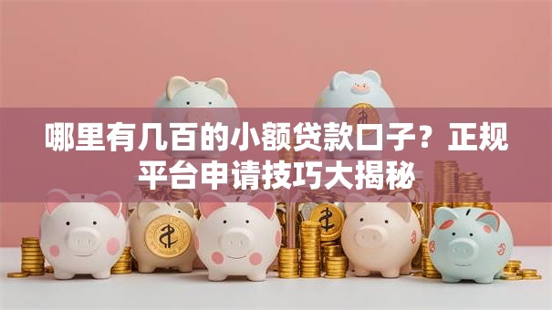 哪里有几百的小额贷款口子？正规平台申请技巧大揭秘