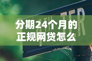 分期24个月的正规网贷怎么选？低息贷款避坑指南看这里