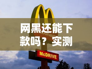 网黑还能下款吗？实测这几个口子审核松放款快