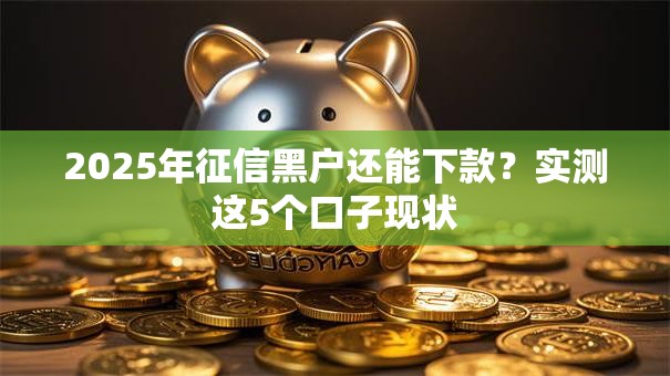 2025年征信黑户还能下款?实测这5个口子现状 2025年征信黑户还能下款?实测这5个口子现状