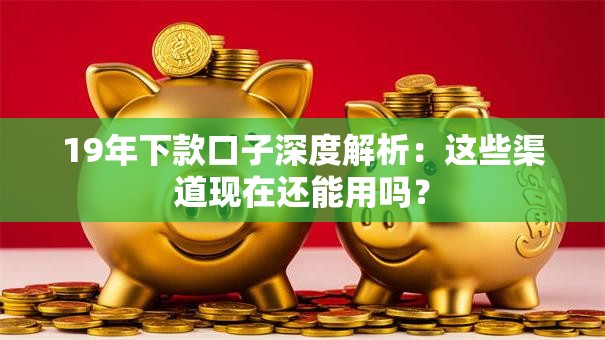19年下款口子深度解析：这些渠道现在还能用吗？