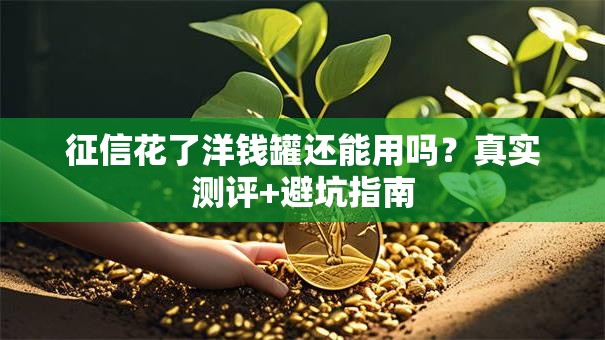 征信花了洋钱罐还能用吗?真实测评+避坑指南 征信花了洋钱罐还能用吗?真实测评+避坑指南
