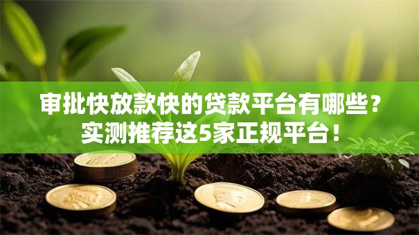 审批快放款快的贷款平台有哪些？实测推荐这5家正规平台！