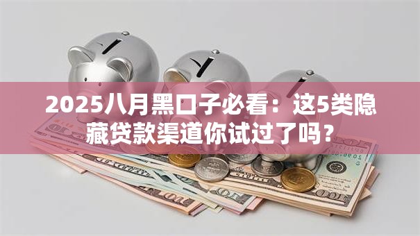 2025八月黑口子必看：这5类隐藏贷款渠道你试过了吗？