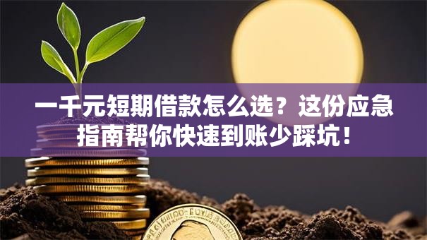 一千元短期借款怎么选？这份应急指南帮你快速到账少踩坑！
