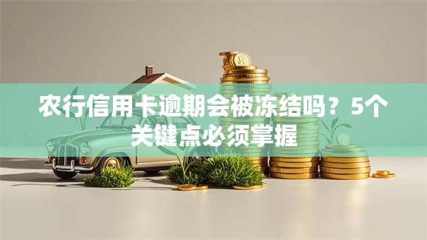 农行信用卡逾期会被冻结吗?5个关键点必须掌握 农行信用卡逾期会被冻结吗?5个关键点必须掌握