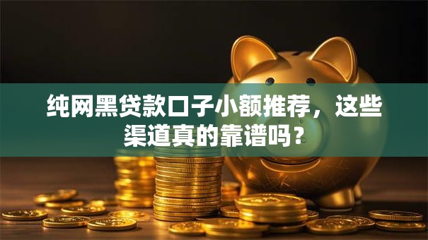 纯网黑贷款口子小额推荐，这些渠道真的靠谱吗？