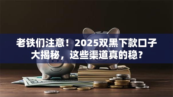 老铁们注意！2025双黑下款口子大揭秘，这些渠道真的稳？