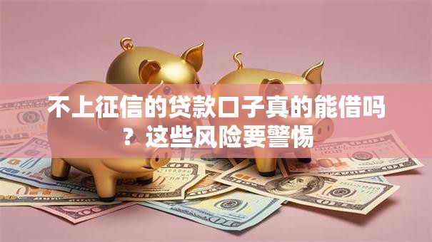 不上征信的贷款口子真的能借吗？这些风险要警惕