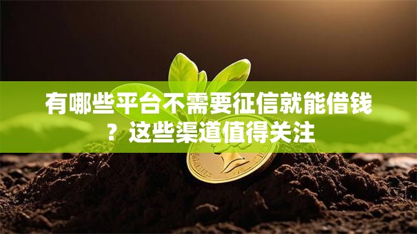 有哪些平台不需要征信就能借钱？这些渠道值得关注