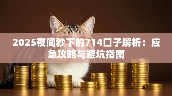 2025夜间秒下的714口子解析：应急攻略与避坑指南