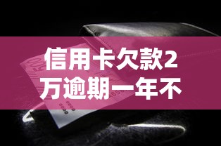 信用卡欠款2万逾期一年不还?这些后果你必须知道 信用卡欠款2万逾期一年不还?这些后果你必须知道