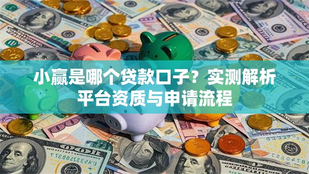 小赢是哪个贷款口子？实测解析平台资质与申请流程