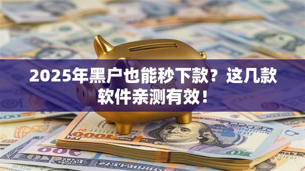 2025年黑户也能秒下款？这几款软件亲测有效！