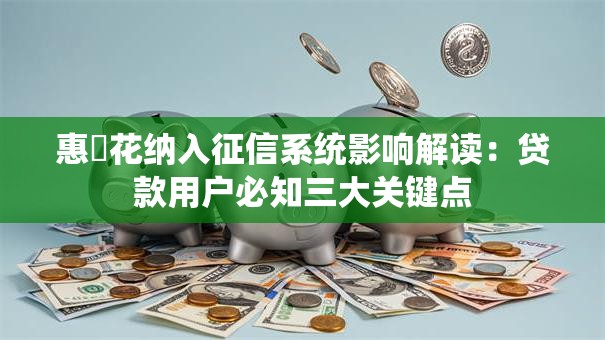 惠恵花纳入征信系统影响解读:贷款用户必知三大关键点 惠恵花纳入征信系统影响解读:贷款用户必知三大关键点