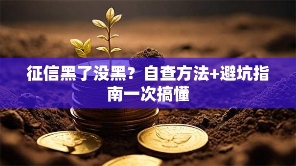 征信黑了没黑？自查方法+避坑指南一次搞懂