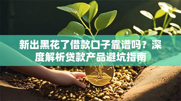 新出黑花了借款口子靠谱吗？深度解析贷款产品避坑指南