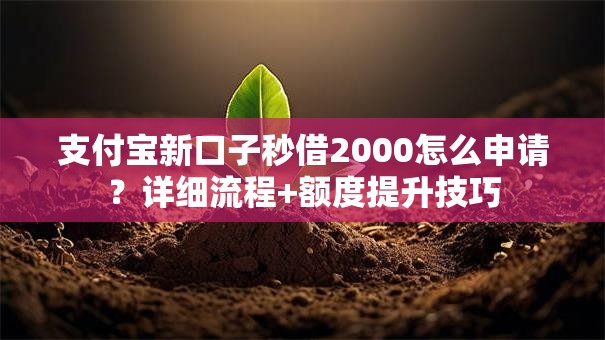 支付宝新口子秒借2000怎么申请?详细流程+额度提升技巧 支付宝新口子秒借2000怎么申请?详细流程+额度提升技巧
