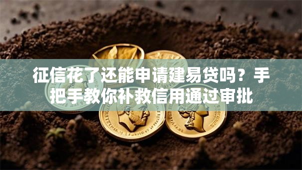 征信花了还能申请建易贷吗?手把手教你补救信用通过审批 征信花了还能申请建易贷吗?手把手教你补救信用通过审批