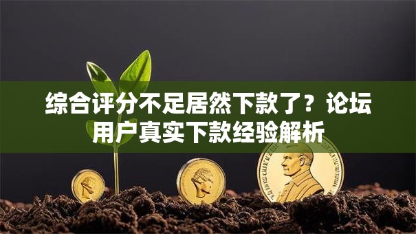 综合评分不足居然下款了？论坛用户真实下款经验解析