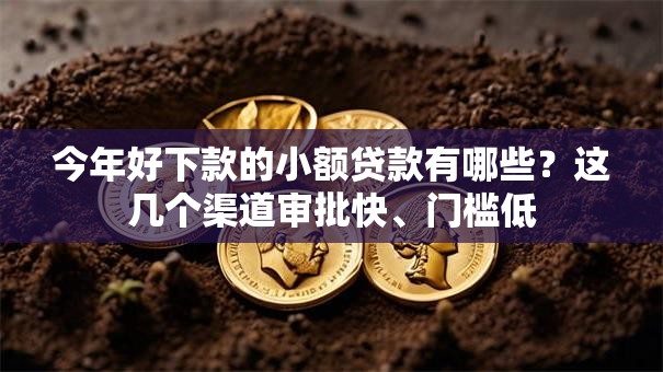 今年好下款的小额贷款有哪些？这几个渠道审批快、门槛低