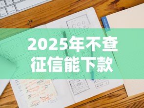 2025年不查征信能下款的口子有哪些?最新渠道大揭秘 2025年不查征信能下款的口子有哪些?最新渠道大揭秘