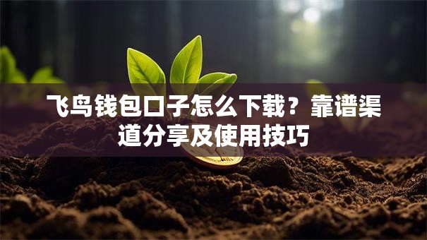 飞鸟钱包口子怎么下载？靠谱渠道分享及使用技巧