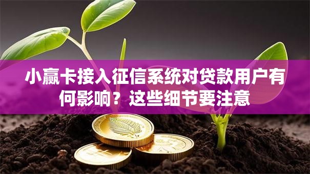 小赢卡接入征信系统对贷款用户有何影响？这些细节要注意