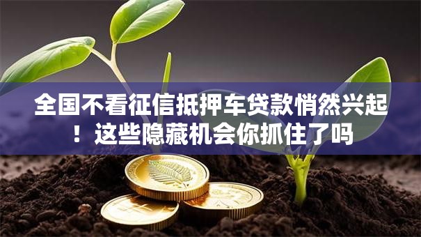 全国不看征信抵押车贷款悄然兴起！这些隐藏机会你抓住了吗