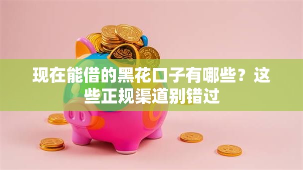 现在能借的黑花口子有哪些？这些正规渠道别错过