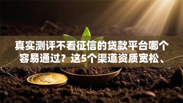 真实测评不看征信的贷款平台哪个容易通过？这5个渠道资质宽松、审核快！