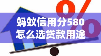 蚂蚁信用分580怎么选贷款用途？这些方法帮你合理规划资金