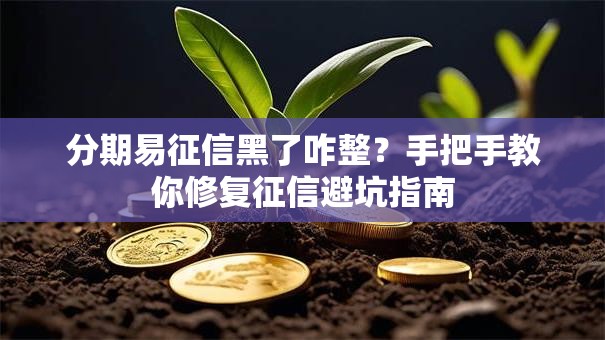 分期易征信黑了咋整？手把手教你修复征信避坑指南