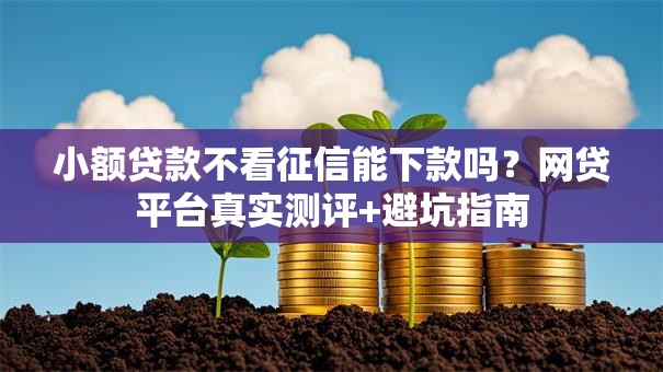 小额贷款不看征信能下款吗？网贷平台真实测评+避坑指南