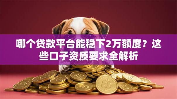 哪个贷款平台能稳下2万额度？这些口子资质要求全解析