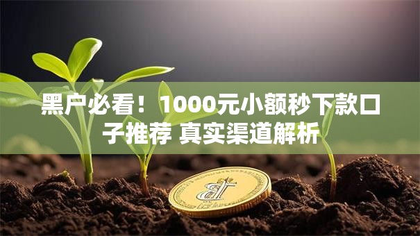 黑户必看！1000元小额秒下款口子推荐 真实渠道解析