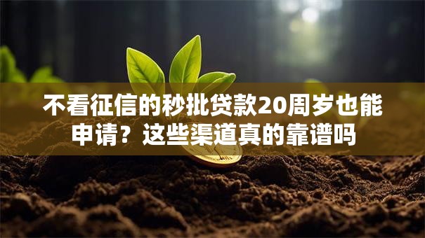 不看征信的秒批贷款20周岁也能申请？这些渠道真的靠谱吗