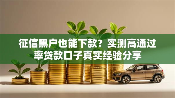 征信黑户也能下款？实测高通过率贷款口子真实经验分享