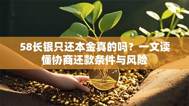 58长银只还本金真的吗？一文读懂协商还款条件与风险
