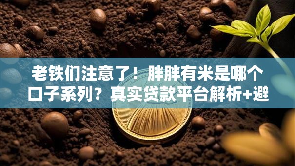 老铁们注意了！胖胖有米是哪个口子系列？真实贷款平台解析+避坑指南