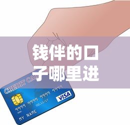 钱伴的口子哪里进去？手把手教你找到正规贷款渠道