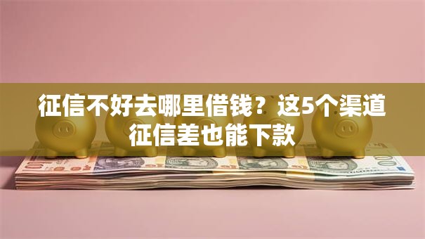 征信不好去哪里借钱?这5个渠道征信差也能下款 征信不好去哪里借钱?这5个渠道征信差也能下款