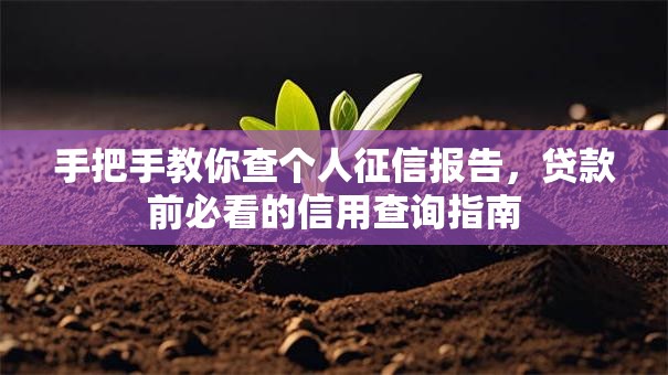手把手教你查个人征信报告，贷款前必看的信用查询指南