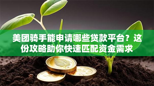 美团骑手能申请哪些贷款平台?这份攻略助你快速匹配资金需求 美团骑手能申请哪些贷款平台?这份攻略助你快速匹配资金需求